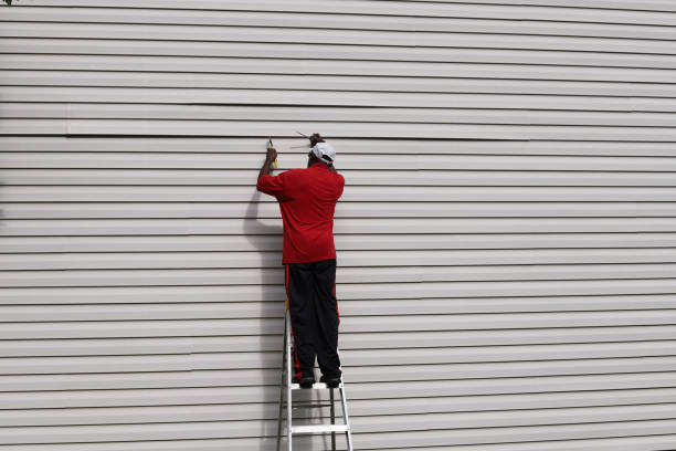 Best Brick Veneer Siding  in Speedway, IN