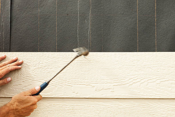 Best Weatherproofing and Sealing  in Speedway, IN